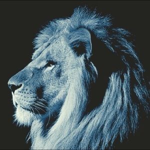 Meet your Posher, Dexter